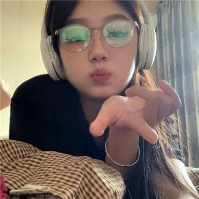 翱翔于天际的夜鹰